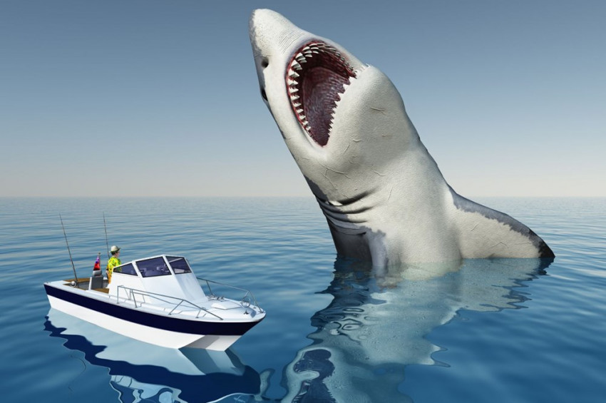 Megalodon köpekbalığının sadece yüzgeci insan boyundaydı
