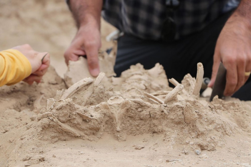 Vanda 2 bin yıllık bebek iskeleti bulundu