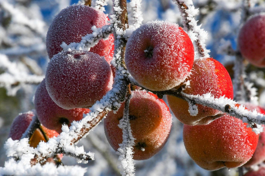 Bastırılan yas üzerine