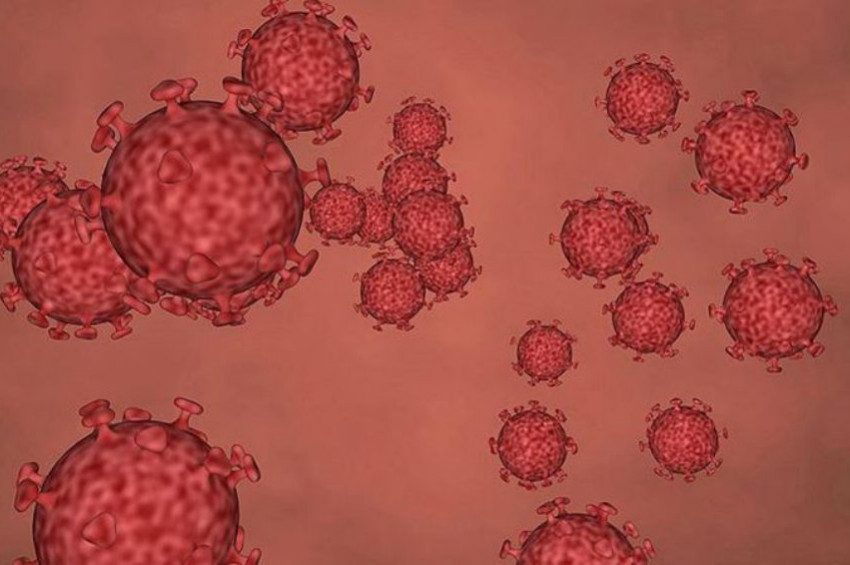 Kongoda keşfedilen hastalık X tartışılıyor