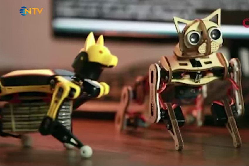 Robot kediden sonra robot köpek: El sallıyor, zıplıyor