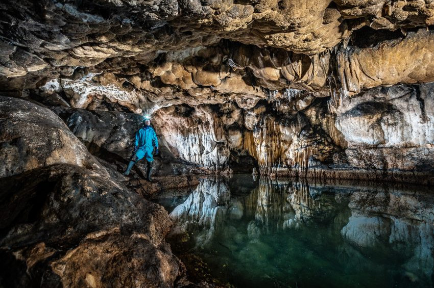 Türkiye Mağaralarında 24 memeli hayvan türüne rastlandı