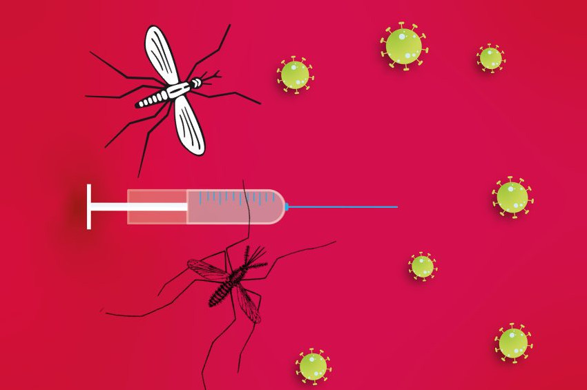 Sıtma aşısı olumlu veriler gösteriyor.