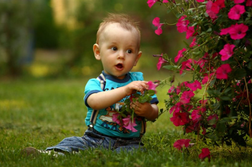 Buğday Derneğinden görünmeyen tehlike uyarısı