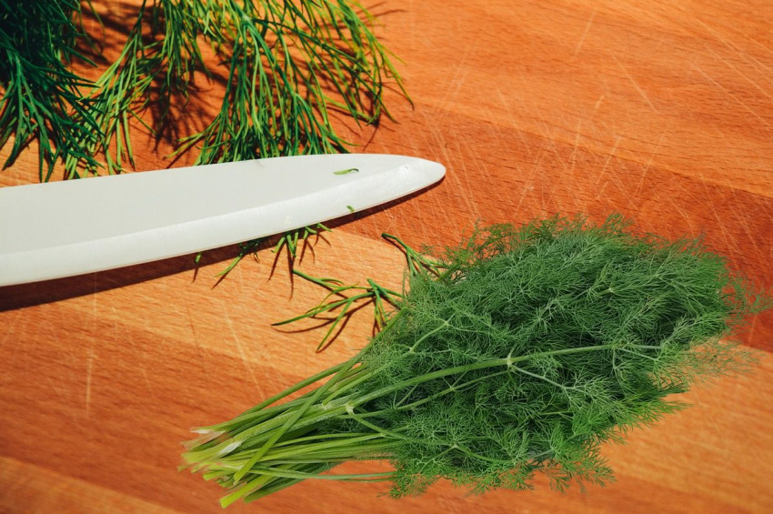 Dereotu hakkında bilinmesi gerekenler