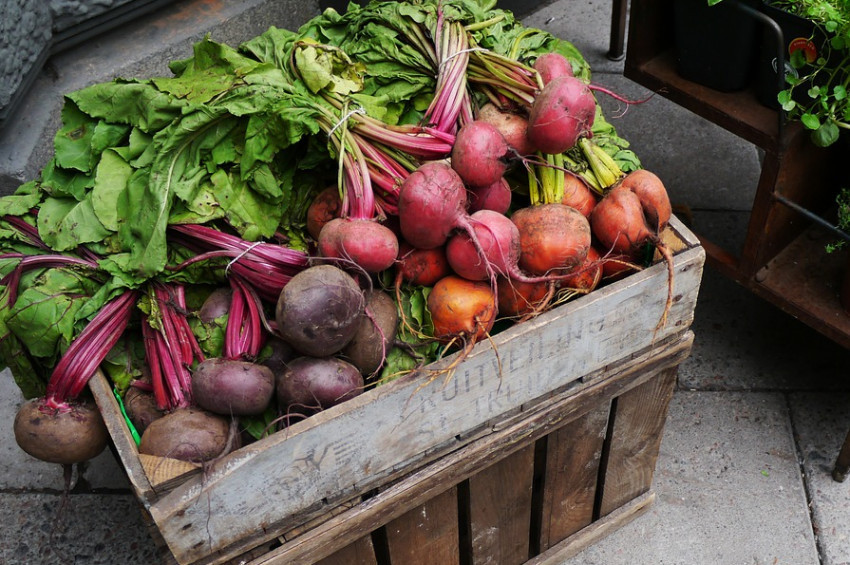 Her gün 1 adet orta boy turp yemenin faydaları