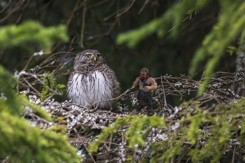 Mitoloji Kahramanları: Parmak Adam Erkecey