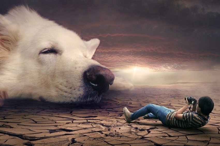 Rüya Yorumlarında çağın şartları göz önüne alınmalı