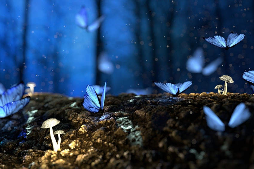 8-14 Mart 2021 haftası astrolojik yorumu