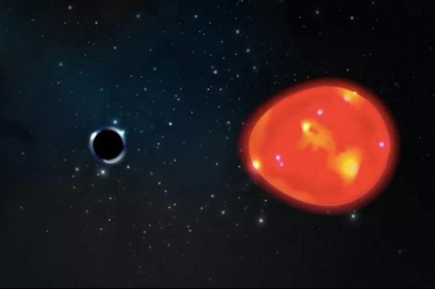 Dünyaya en yakın kara delik keşfedildi