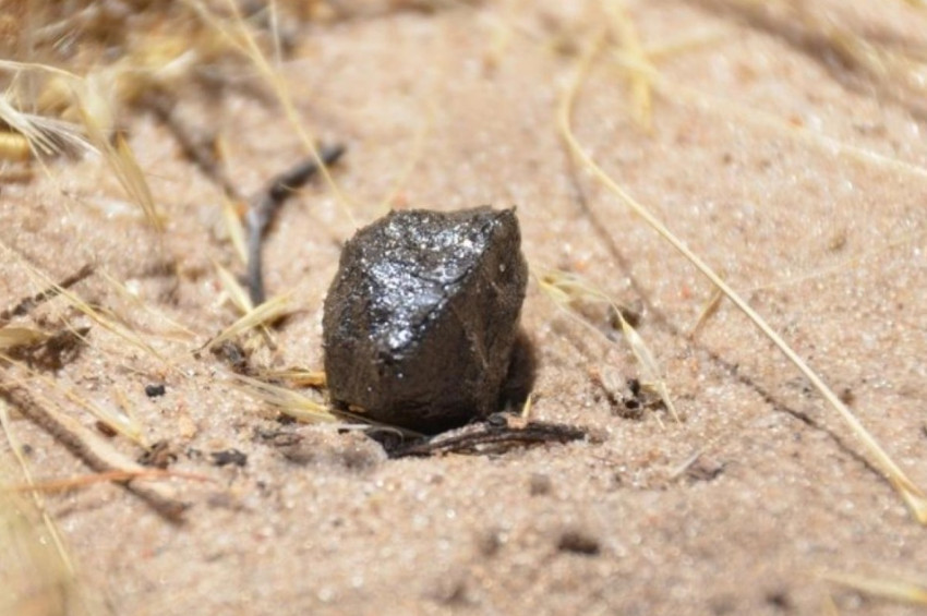 Bazı parçaları Bingöl’e düşen göktaşının kaynağı bulundu