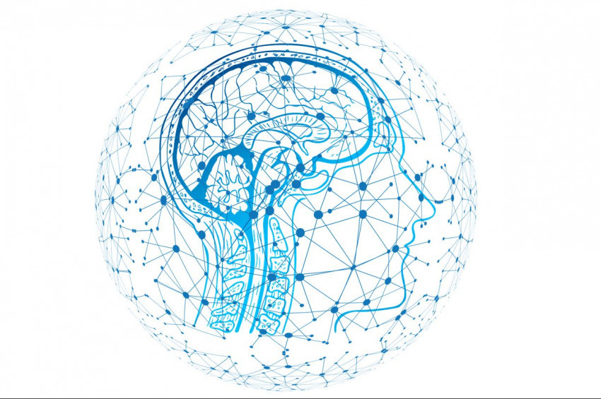 Yapay zeka, İnsan beyninin nasıl anladığını araştırdı