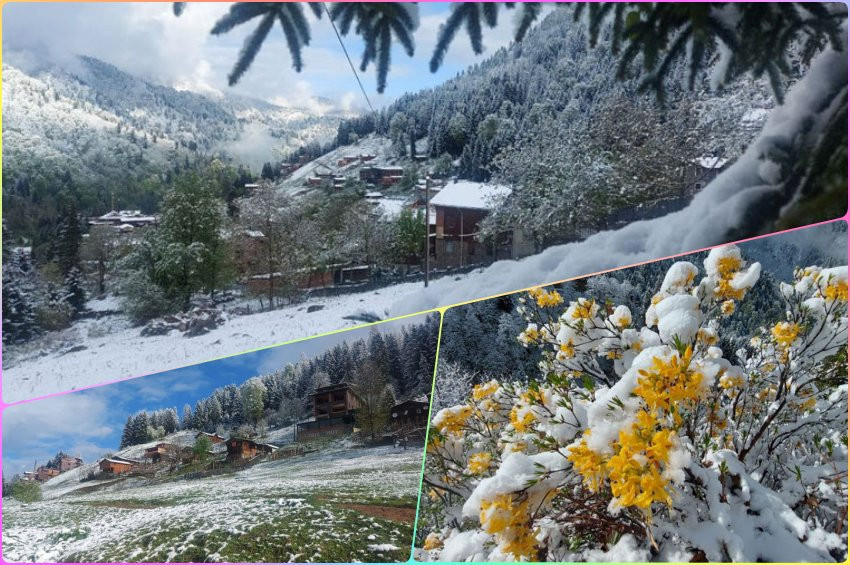 Rizede mayıs ayında yağan kar tabiatı süsledi