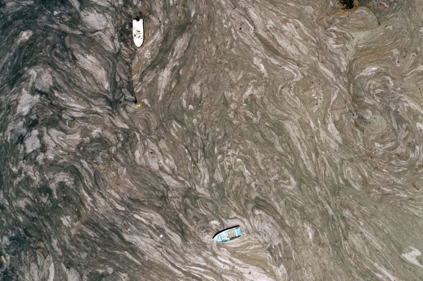 Müsilaj balıkların yaşamını olumsuz etkiliyor