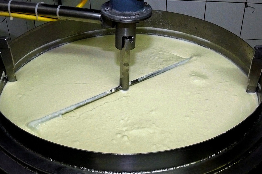 Türkiyede üretilen inek sütü miktarı arttı