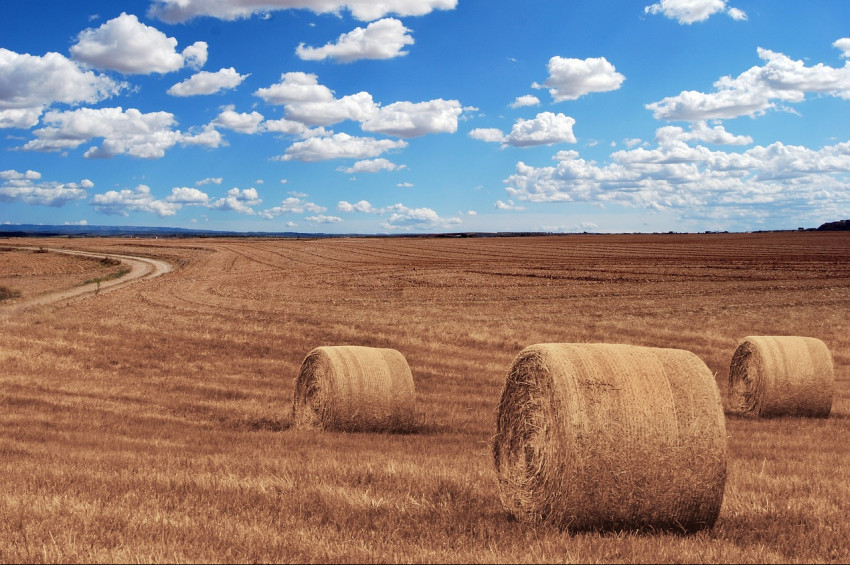 Kazakistan’da tarım arazilerinin satışları yasaklandı