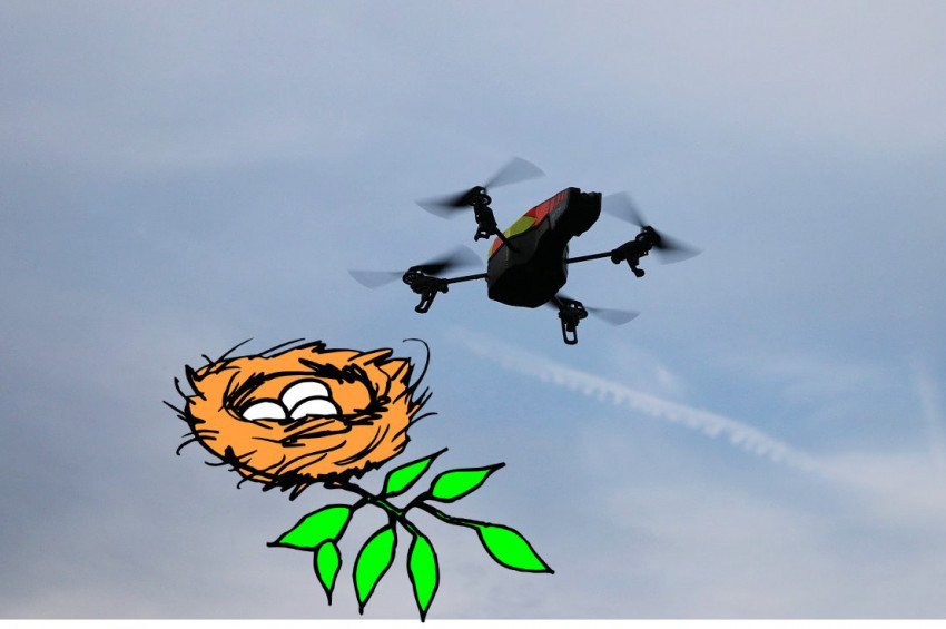 Uçak kazalarına vahşi çözüm: Yumurta itlafı