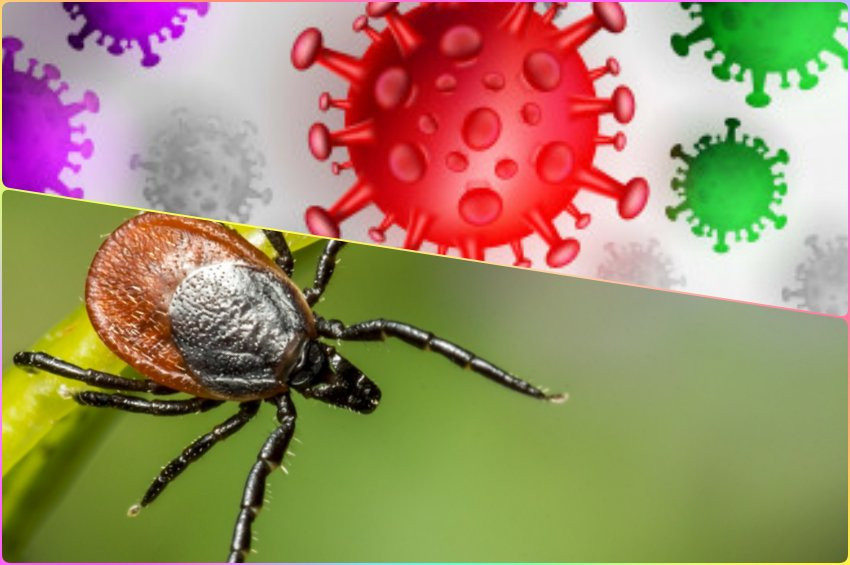 Koronavirüsten kurtulma sevinciyle KKKAya yakalanmayın