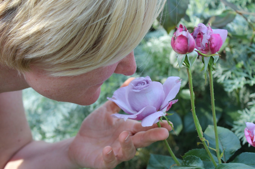 Koronavirüsün yok ettiği koku kaybı geri gelir mi?