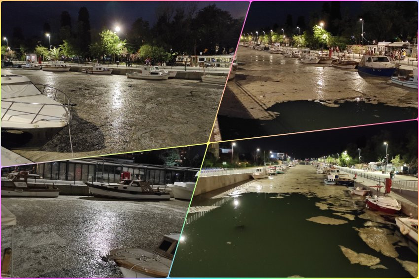 Kurbağalıdere müsilaj ile kaplandı