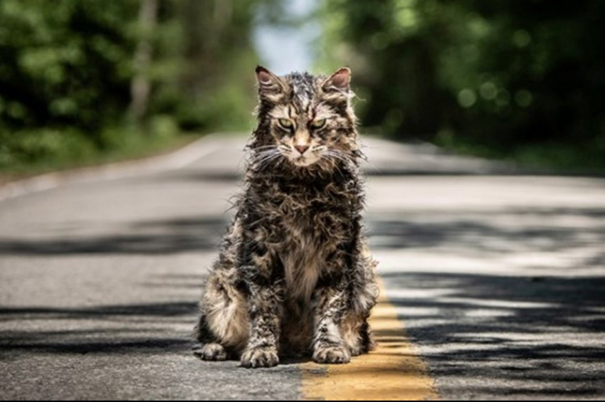 Hayvan Mezarlığı filminin devamı çekilecek