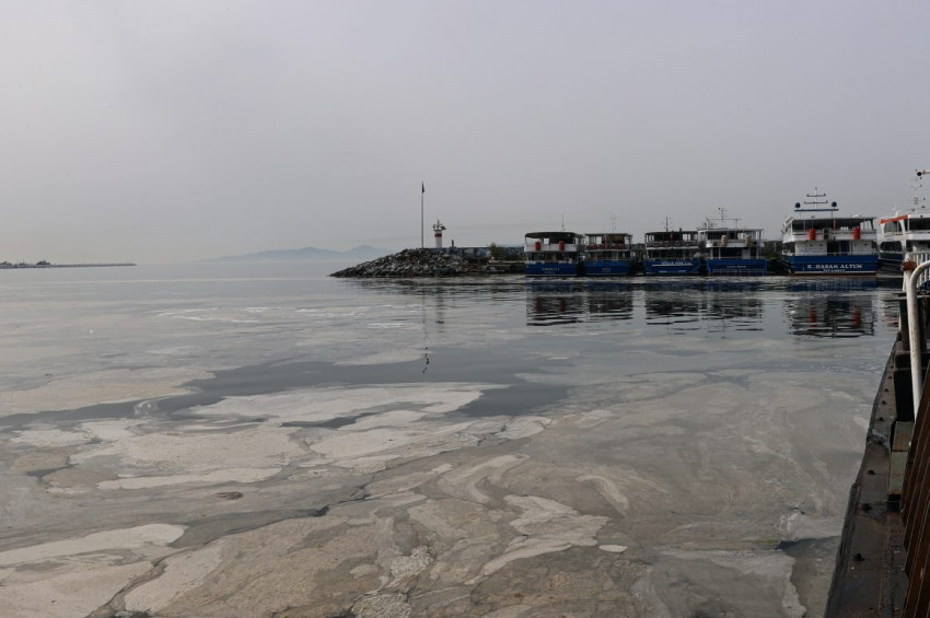 Deniz salyası kirliliği İstanbul sahillerinde