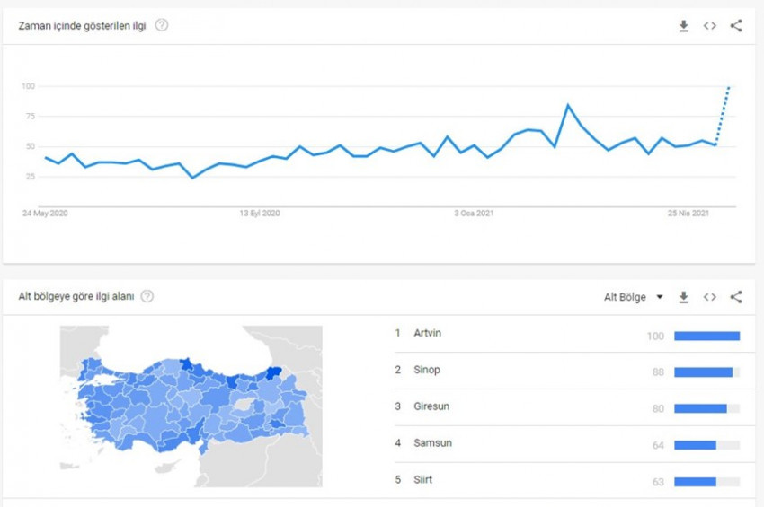 Googleda harıl harıl Uyuz Hastalığı aranıyor