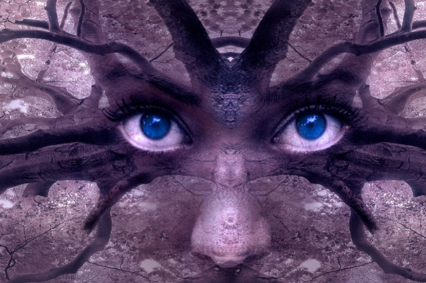 Steril bir din: Panpsişizm