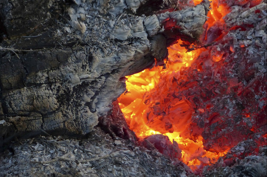 Zombi yangınların artmasından korkutuyor