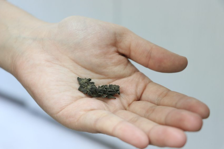 Keşfedilen yeni liken türüne Piri Reis adı verildi