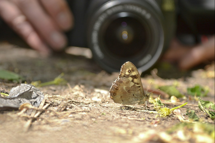 Beykoz Belediyesinden ödüllü fotoğraf yarışması