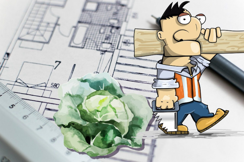 Betondan sağlam ama yenilebilir yeni inşaat malzemesi