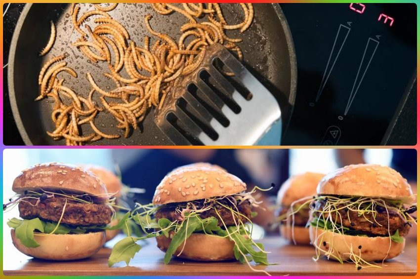 Avrupada sofraya giren ilk böcek: Sarı un kurdu