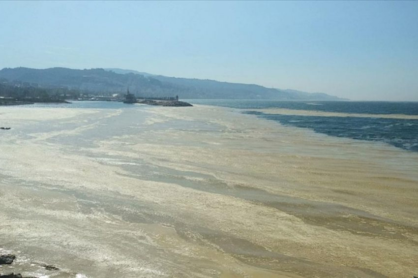 Müsilaj kirliliği şimdi de Mudanya kıyılarında