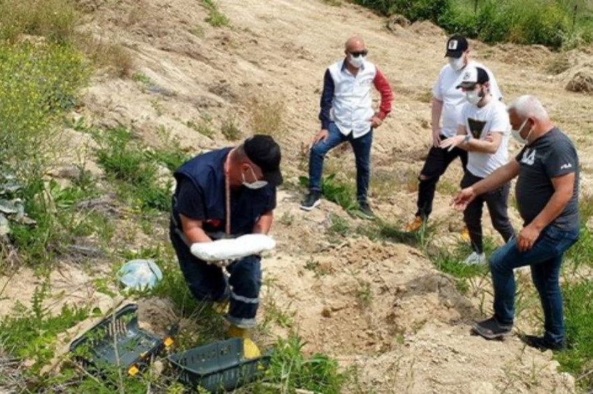 Gaziantepte ölen kedisini Osmaniyeye gömdü