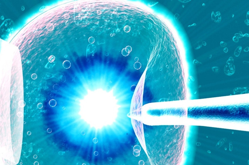 Kök hücreden insan embriyosu üretildi