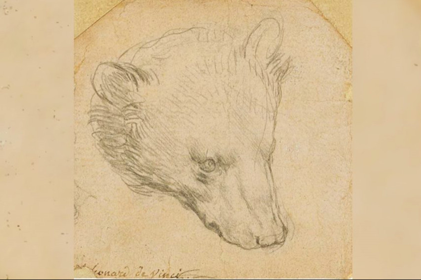 Da Vinci’nin Ayı Kafasının tahmini fiyatı açıklandı