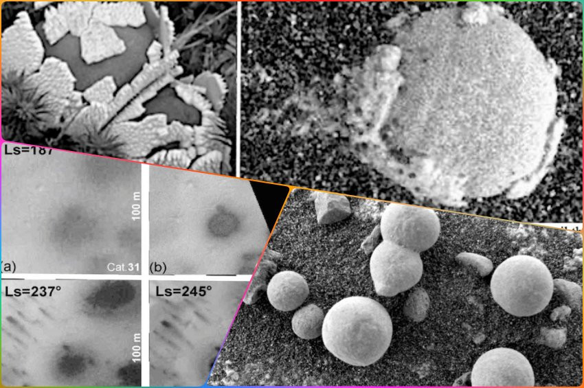 Bilim adamları Mars Mantarlarının sırrını araştırıyor