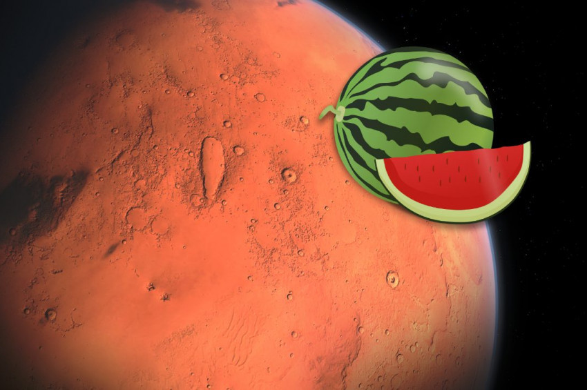 New York Times, Marsta karpuz bulunduğunu yazdı