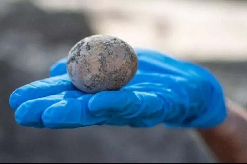 Bin yıldır bozulmamış tavuk yumurtası bulundu