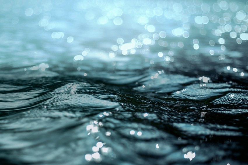 Dünyanın sıcaklığını metan yiyen mikroorganizmalar dengeliyor