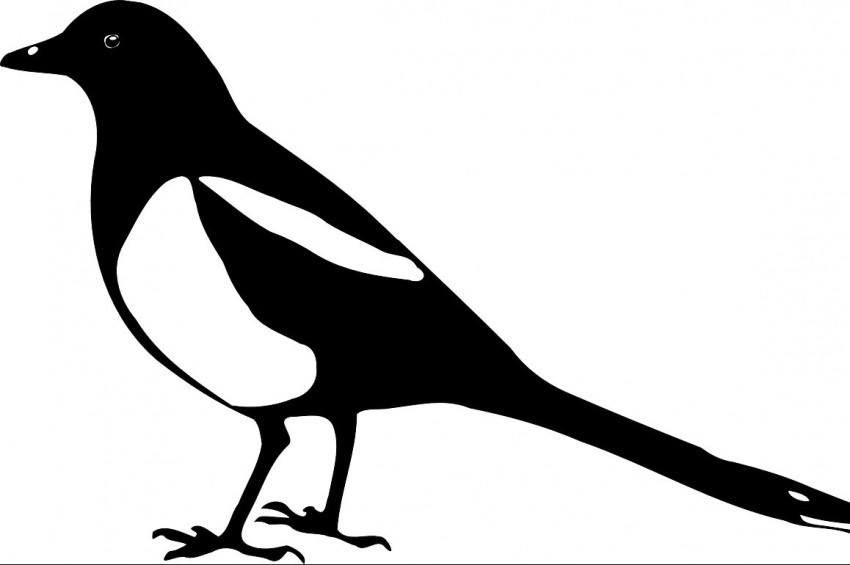 Yalancı kargalar ve yalana inanmayan kuşlar