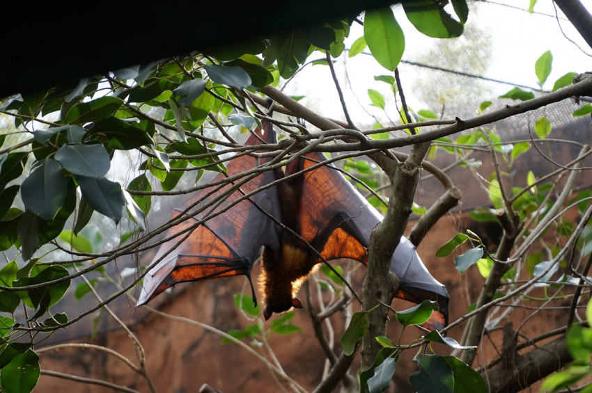 Yeni koronavirüs tehlikesi doğurabilecek alanlar araştırıldı