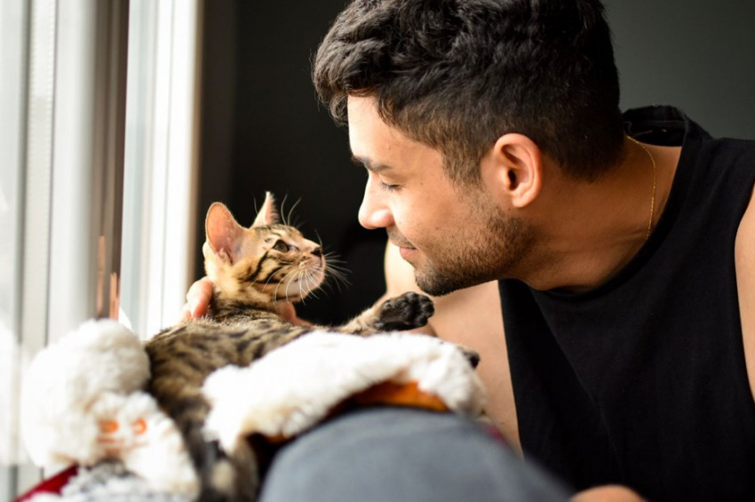 Kedilerle insanlar arasındaki 5 tür ilişki tespit edildi