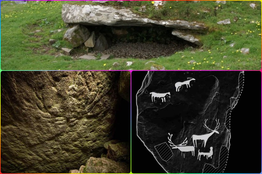 İskoçya 5 bin yıllık alageyik resimleri bulundu