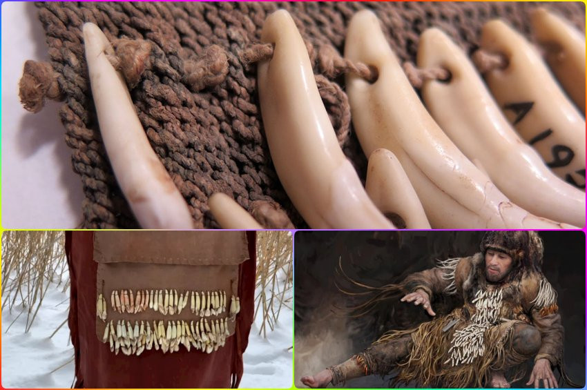 8 bin yıllık geyik dişlerinin dans için kullanıldığı anlaşıldı