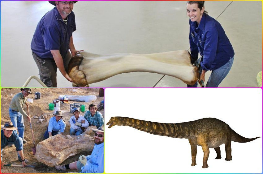 30 metre boyunda yeni bir dinozor türü keşfedildi