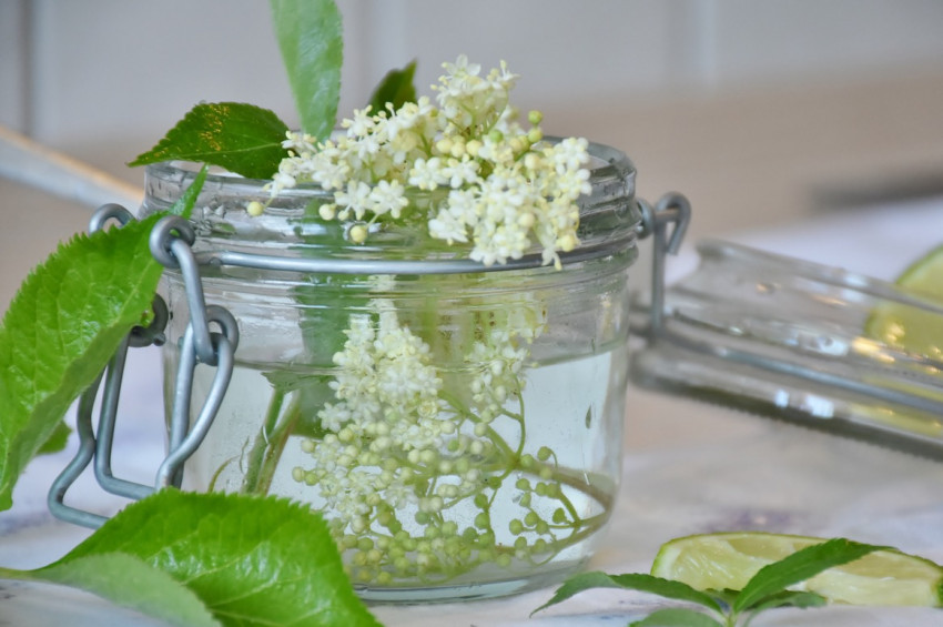 Kurban Bayramında kabızlığı önleyen karışım