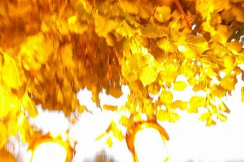 3 kardeş selfie çekilirken yıldırım çarptı