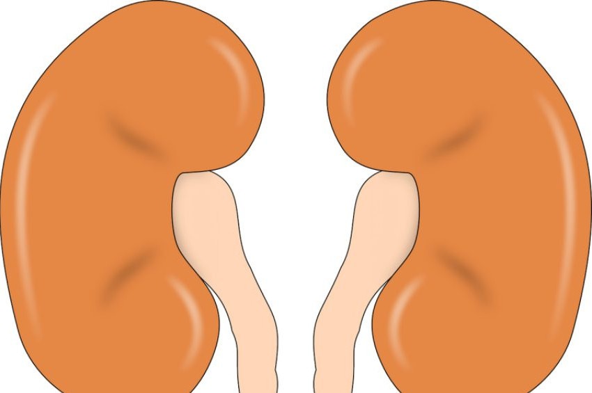 Böbreklerinizle sorun yaşamamak için 7 altın anahtar